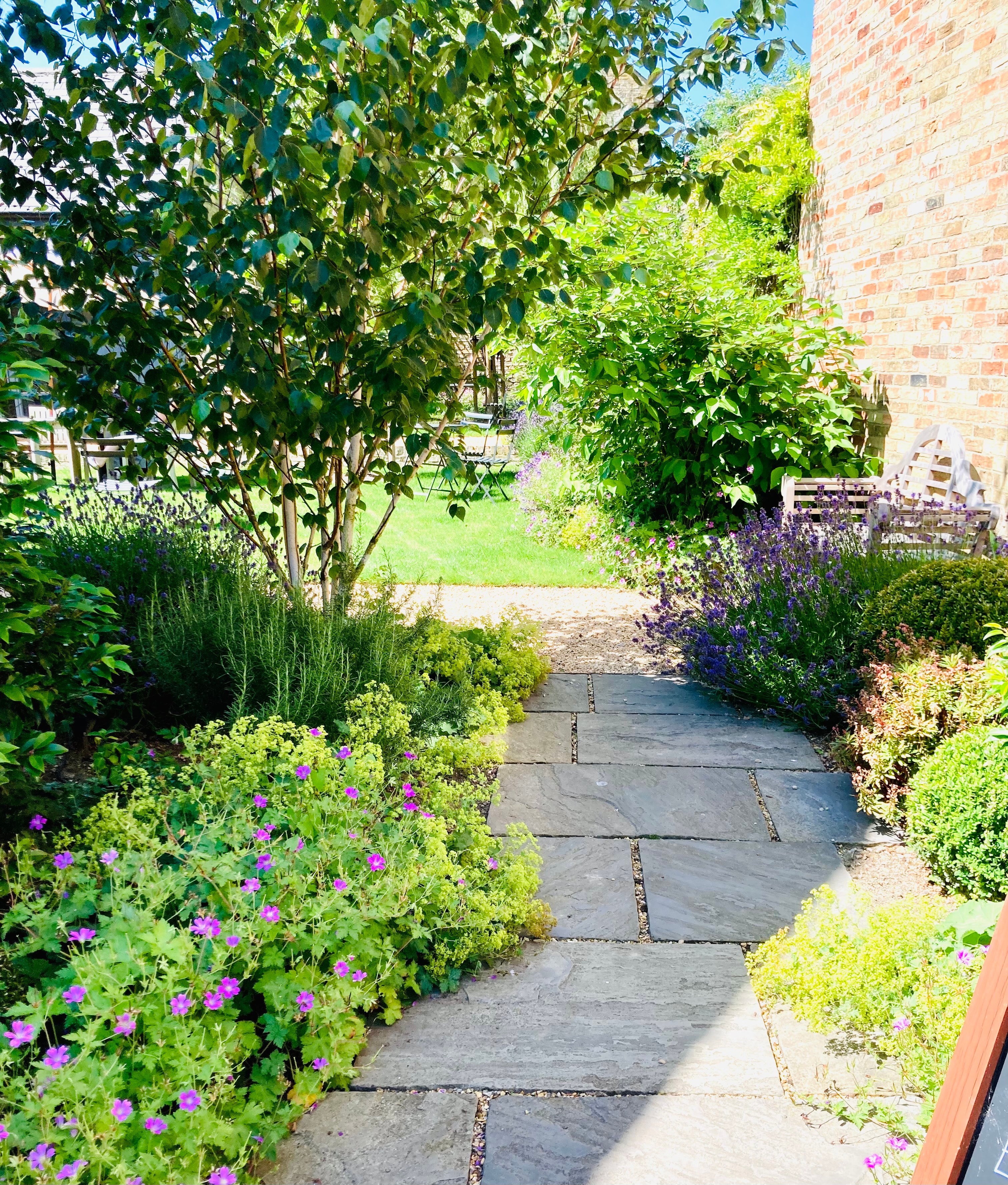 The walled garden in full summer bloom with lavender and geraniums